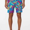 * O'Neill Banyan 17 Volley Cobalt Volley Swimshorts