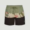 * O'Neill Mens Frame Block Shorts Deep Lichen Green Volley Swimshorts